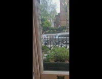 Daughter film mother walk pull luggage street