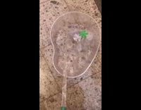 Guy washes turtle with purple toothbrush lettuce 