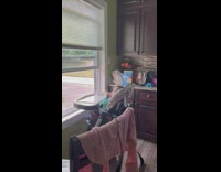 Baby on seat look at window eat bread