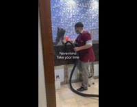 Large black dog groomers bath red shirt