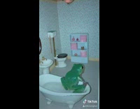 Frog lives inside doll house