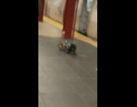 Guy drives remote controlled car on subway