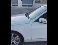 golden retriever glasses driving