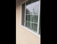 Brown cat peeks out white window screen 