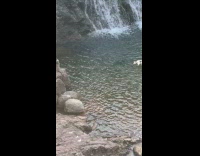 Bridge railing text while woman uses drone