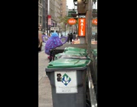 Purple furby spotted walking on the street