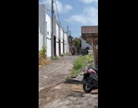 Dogs brought home by motorcycle from school