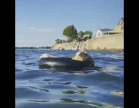 Dog relaxes in floatie 