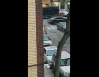 Guy wears chicken head 