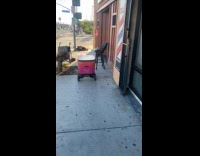 Collab VIBES - Man help delivery robot through street obstacles