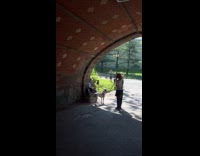 Dog howls join man sitting plays saxophone