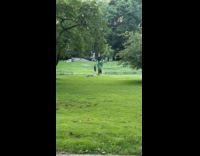 Woman carrying dog while walking at park 