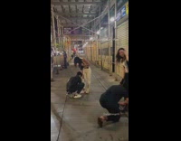 2 guys tie girlfriends shoelaces