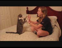 girl plays hand game with grey cat