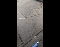 two women block bus on street