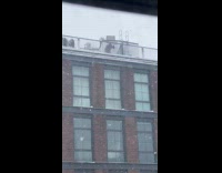 Guy throw snowballs from the building rooftop