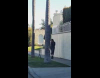 Woman black dress pictorial trees white wall