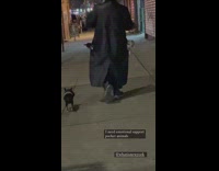 Guy wearing big black coat with dogs hanging out pockets