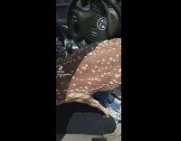 Collab BitchMP - baby deer on guy in car licking face
