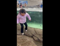 Young girl freaks out sea sting ray mouth