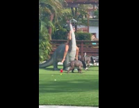 Woman in bikini rides dinosaur for photo