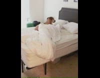 Dog digs in trash and acts like he didnt do it lays on bed and ignores owner