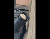Sex toy left on top of recycling bin black trash can 