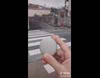 Guy paints rock on beach 