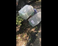 Someone left their bees on the side of the street 