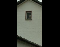 Doll placed to peek at neighbor window