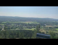 View up a hill sweden trees houses