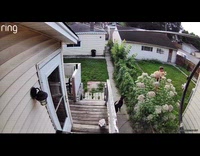 Man retrieving dog from neighbors yard 