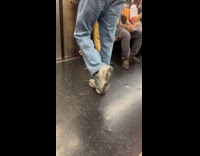 Guy quick foot dance before train exit