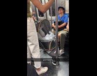 Woman rides subway with rabbit on stroller