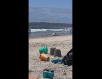 Guy pink shorts run on beach shore