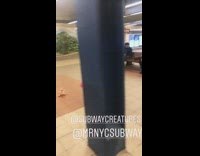 Person in Donald Trump mask and pink plastic cover walks around subway station