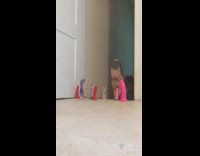 Cat dog dildos in doorway 