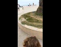 Woman in blue bikini poses with hair moves on the back