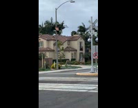 Guy climbs street light for photo 