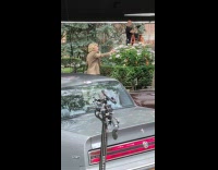 Scarlet Johansson yell at paparazzi on shooting