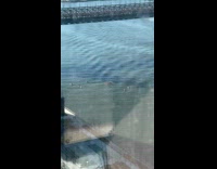 Group of kayakers on river near bridge
