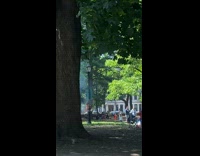 Collab WINY - Man with Trash Bin on his head Climbs Lamp Post