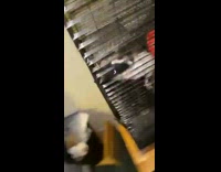 Collab BitchMP - Pet rat steals vape 