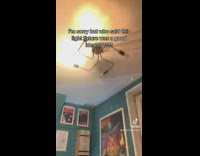 Girl looking at swastika shaped ceiling light