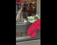 Woman having coffee with guinea pig 