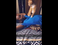 Collab PLC - Cat hits slaps face blue shirt guy