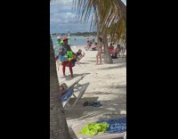 Girl bikini lean on tree beach vendor