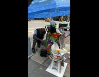 Collab WINY - Man Sets Up Radio as Lady Pets Rabbit