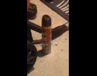 Man tries squishing bug moves spray bottle
