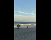 Girl on white horse beach pictures
